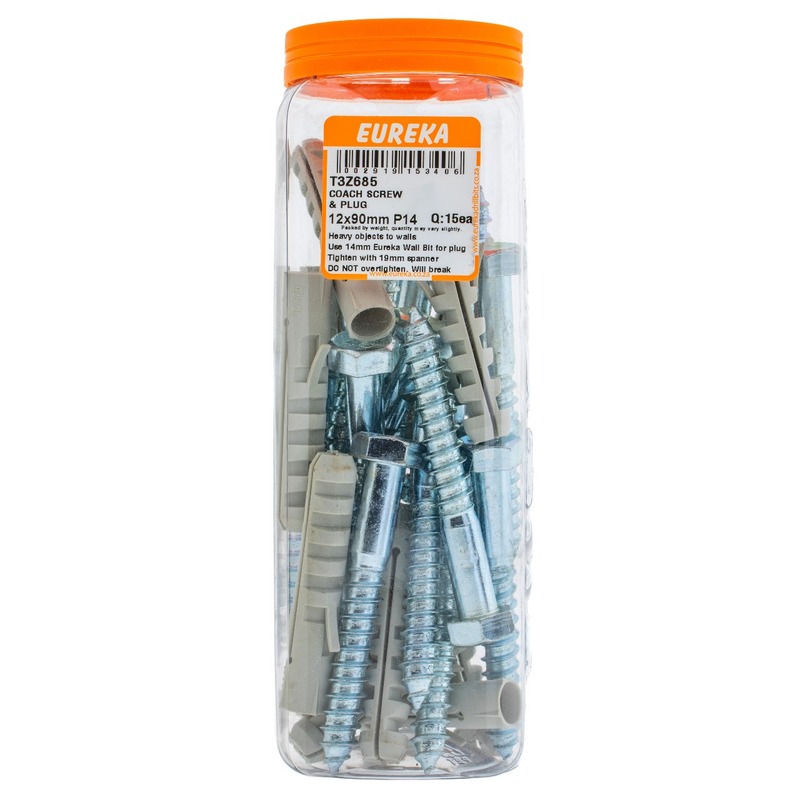 Coach screws & plug